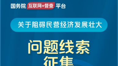 在线观看操b视频国务院“互联网+督查”平台公开征集阻碍民营经济发展壮大问题线索